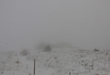 Не отивайте на туризъм в планините планина