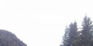 Една от жертвите в Триград пред Breaking.bg : Шофьорът летеше срещу нас шофьор