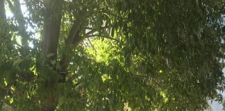 Премиерът: С Макрон обсъждаме проекти в отбраната премиер