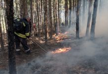 Все още има локални огнища на пожара в Пирин, засегнатата площ е над 45 хил. дка пожари