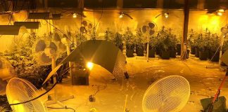 Разбиха две наркобанди в Сливен нарко