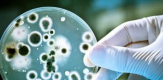 Изолират мъж в Разград със съмнения за антракс антракс