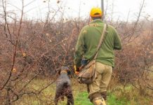 Днес се открива ловният сезон за дребен дивеч ловци