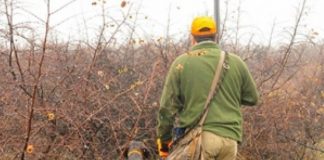 Днес се открива ловният сезон за дребен дивеч ловци
