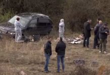 Само в Breaking.bg: Кой пази “Пернишките Пуйки”? пази