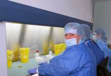 Лицензираните лаборатории за коронавирус са 185, а не 36