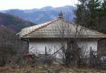 МВР се размърда, проверява полицията в Своге заради Горския Росен росен ангелов