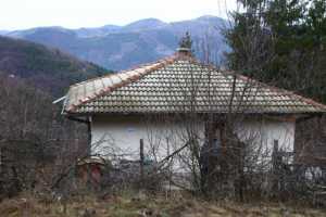 росен ангелов