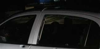 Има ли „чадър“ над бандата на Крокодила ? крокодила