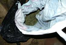 Обвиниха десет души, правели дрога за Австрия баба