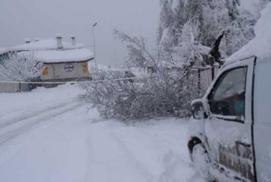 Термометрите в Кнежа отчетоха минус 15 градуса шофьори