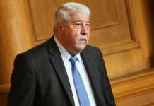 Моника Станишева и ПЕС стоят зад Гинка, обявиха от ГЕРБ столица