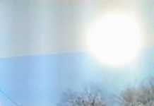 Терористът от Франция лежал в затвора за кражба терорист