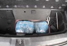 Откриха над 10 кг марихуана на граничния пункт във Видин марихуана