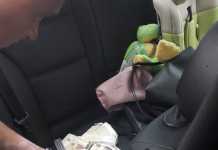 Хванаха юристът на район „Подуяне“ с 15 000 лева подкуп подкуп