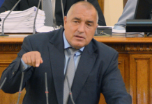 Създават щаб за борба с чумата по животните борисов