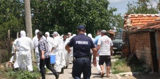 Не пускат ветеринари да взимат проби в селата в Странджа ветеринари