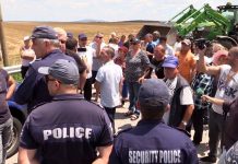 Спират временно евтаназията на животни в Странджа шарково