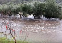 Пожарникари спасиха дете във воден капан в река Арда дете