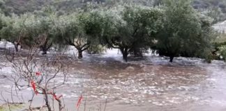 Пожарникари спасиха дете във воден капан в река Арда дете