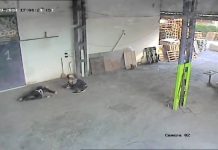 За „кожата“ на един „Господар“-моралът е някъде там господар