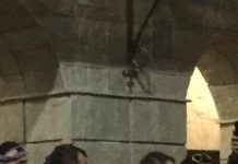 Само в Breking.bg: Наемни убийци и мутри от ВИС-2 организират протестите ? мутри