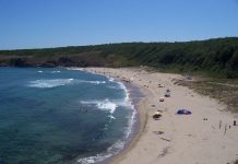 Министерство на туризма няма да сключва договор за плажа „Липите“ туризма