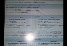 Собственикът на „Артекс“ кум на Лозан Панов и съпругата му (Документи)