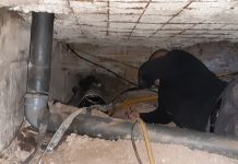 Разбиха оранжерия за канабис с 40-метров тунел към нея СНИМКИ и ВИДЕО оранжерия