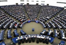 ЕП заличи „македонски език и идентичност“ в доклада за РСМ България