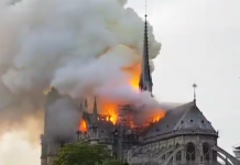 Катедралата Нотр Дам се запали и рухна катедрала
