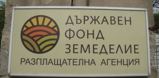 Началник от Фонд „Земеделие“ дал 1,8 млн. лева заеми на фирми за бързи кредити
