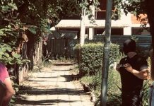 Двама полицаи от столичното 4 РПУ са арестувани за продажба на наркотици