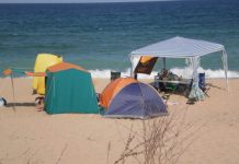 Д-р Полина Карастоянова: Националният борд по туризъм подкрепя зонирането на курортите