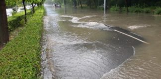 Бедствено положение е обявено в Стрелча