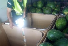 Хванаха на Кулата поляк да превозва мигранти в камион с дини