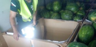 Хванаха на Кулата поляк да превозва мигранти в камион с дини