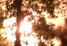 Колата на скулптора Минеков е изгоряла след палеж на друг автомобил