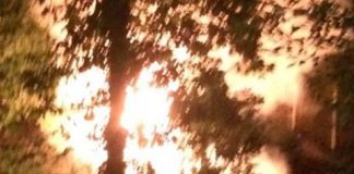 Колата на скулптора Минеков е изгоряла след палеж на друг автомобил