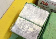 76 килограма кокаин от Еквадор, скрит в банани, заловиха на пристанище Бургас