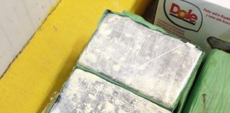 76 килограма кокаин от Еквадор, скрит в банани, заловиха на пристанище Бургас