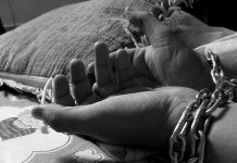 Разкриха банда, осигурявала български роби за гроздобер във Франция