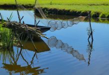 Задържаха чиновник от агенцията по рибарство за 400 лв. подкуп