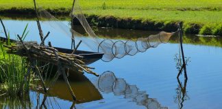 Задържаха чиновник от агенцията по рибарство за 400 лв. подкуп