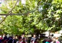 Истерията с ромските деца в Сливен и Ямбол ще се разследва от МВР, ДАНС и прокуратурата