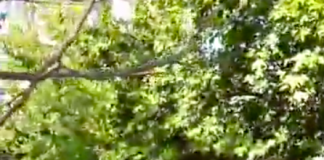 Истерията с ромските деца в Сливен и Ямбол ще се разследва от МВР, ДАНС и прокуратурата