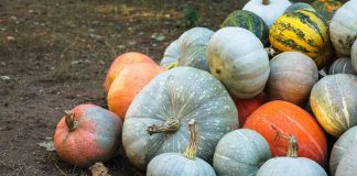 Крадец на тикви умря в ареста след побой от търговците