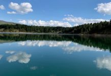 Водата на язовир „Долна Диканя“ е заразена със салмонела