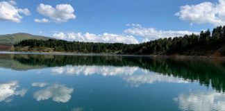 Водата на язовир „Долна Диканя“ е заразена със салмонела