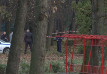 Охранител за убиеца и жертвата в Борисовата градина: Седяха на една пейка и си говореха, не съм чул разправия